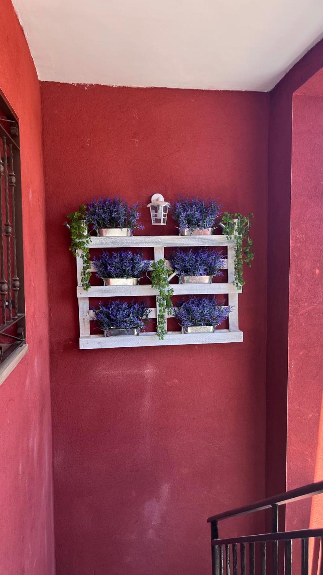 Apartamentos Praderas Pantano San Juan Pelayos de la Presa Buitenkant foto